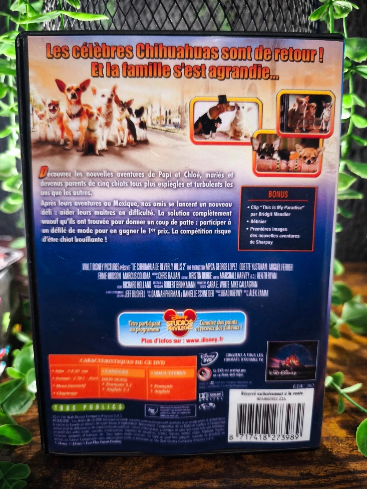 El Chihuahua de Beverly Hills 2 – photo 2